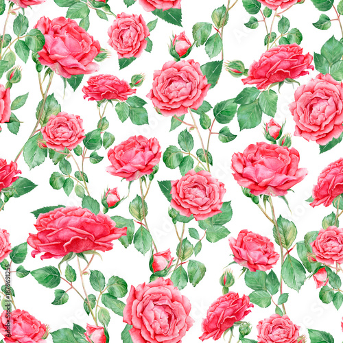 Wallpaper Mural Seamless pattern on a white background with floral elements: red roses, buds, branches and leaves, hand-drawn with watercolors. Suitable for fabric design, invitation printing and scrapbooking. Torontodigital.ca