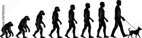 Human evolution silhouette illustration showing progression from ape ancestors to modern man walking a dog, symbolizing development, lifestyle change and civilization isolated on white background