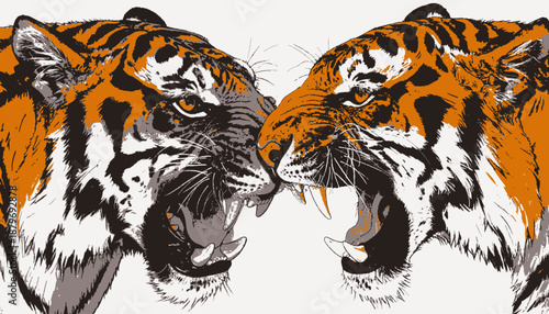Stylized digital illustration showing two roaring big cats, facing each other with teeth bared