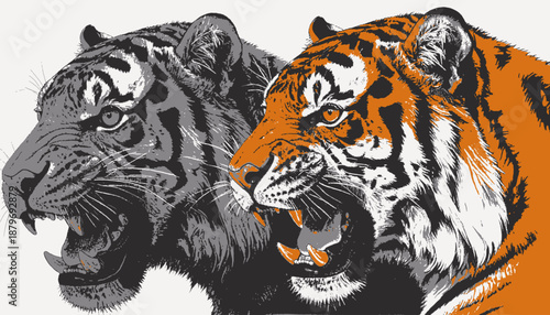 Stylized digital illustration of two snarling tigers facing right, one in grayscale and one in orange