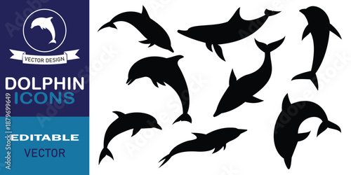 Dolphin silhouette vector set. Jumping, swimming dolphin clipart, ocean wildlife graphic, marine animal motion sequence. Vector illustration.