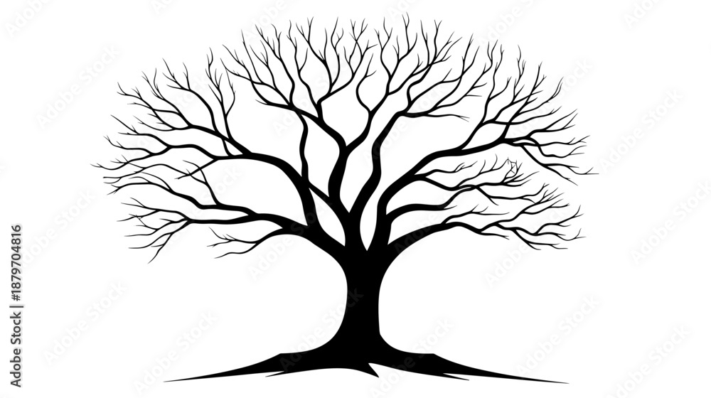 Obraz premium Bare Tree Silhouette with Branches Outstretched 1.