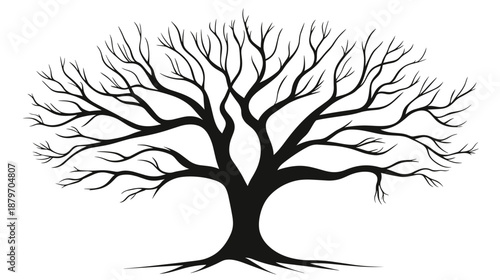 Bare Tree Silhouette with Branches Outstretched.