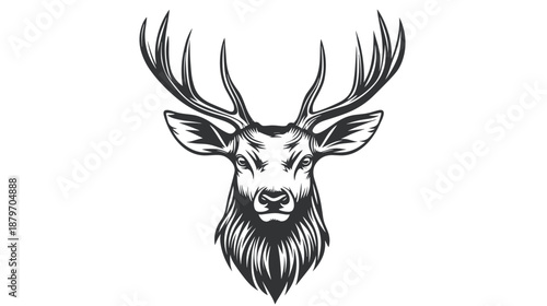 Black and White Deer Head Illustration.
