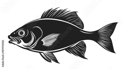 Black and White Fish Illustration Side View 2.