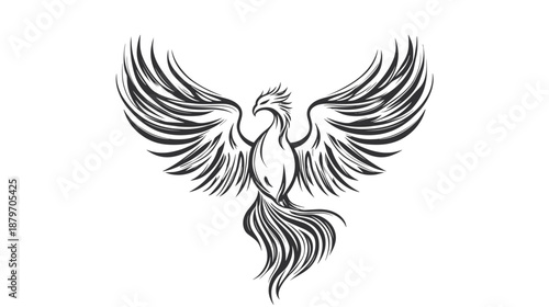 Black and White Phoenix Illustration Flying.