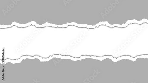 Realistic torn or ripped silver gray paper with edges isolated on transparent background. Torn Paper in the middle with empty center perfect for stylish designs and mockup. Vector illustration.