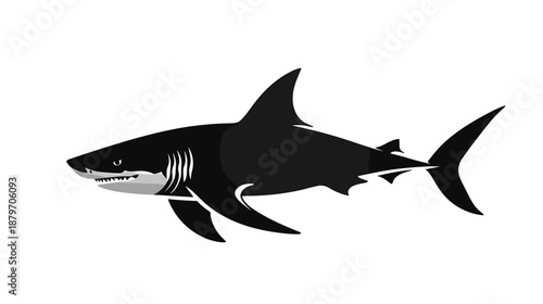 Black Silhouette of a Shark.