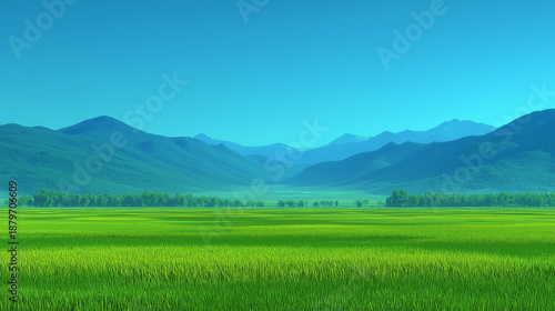 Green Rice Field with Hills in the Background under Clear Blue Sky in Daylight