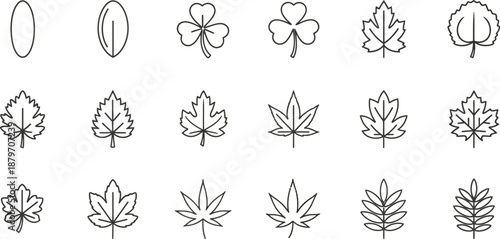 Elegant black and white line art illustration depicting a detailed tropical plumeria flower rendered with fine engraving style hatching techniques isolated on white.