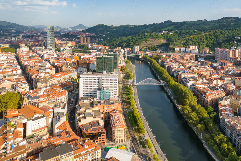 Fototapeta premium Aerial view of the Nervion River and Zubizuri Bridge in Bilbao