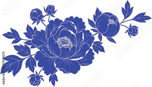 Collection of detailed vintage style magnolia flower illustrations showcasing open blooms closed buds and accompanying foliage in elegant black and white line art.