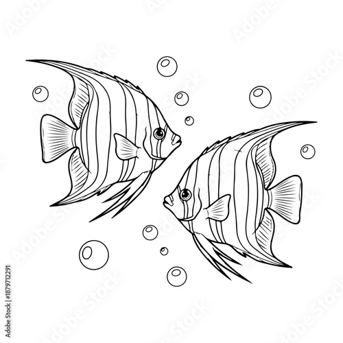 Two Angelfish swimming in water with bubbles, black and white line drawing illustration