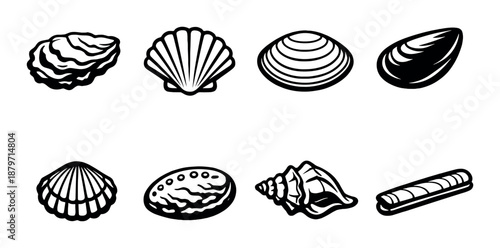 Black and white seashell icons on gray background
