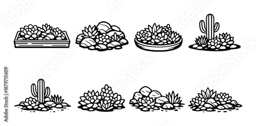 Monochrome succulents and cacti in geometric arrangements on dark background