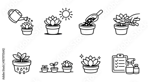 Succulent care icons: planting, watering, growth, pruning, sunlight, fertilizing