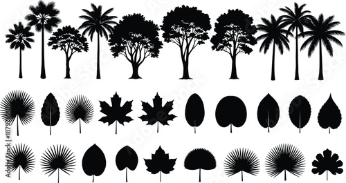 Collection of tropical palm trees and exotic leaf silhouettes set isolated on white background for summer nature landscape design elements and botanical vector illustrations (Total: 25 words)