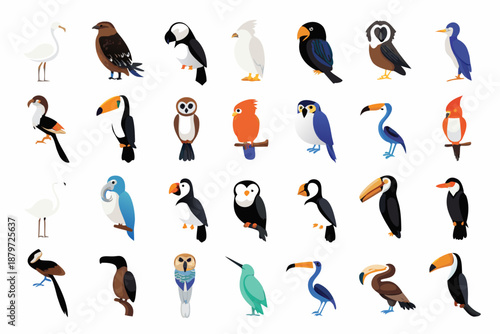 Colorful collection of various tropical birds in a flat illustrative style