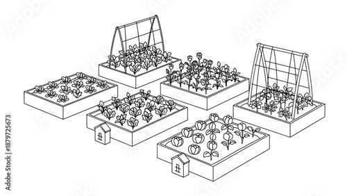 Raised garden beds with vegetables and flowers in linear design