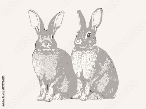 Two gray rabbits sit facing forward in a simple minimalist illustration