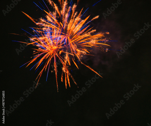 Wallpaper Mural Spektakularny nocny pokaz fajerwerków na ciemnym niebie z wielobarwnymi smugami. Torontodigital.ca