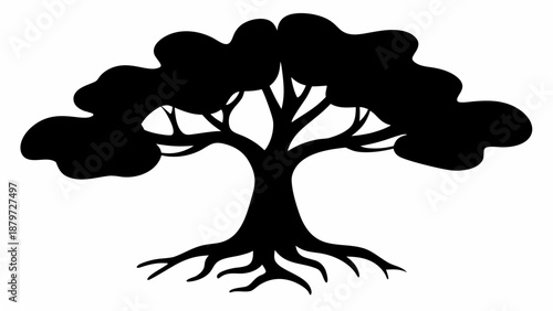 Stunning tree silhouette with exposed roots and branches