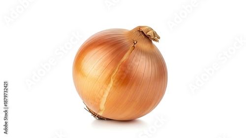 Wallpaper Mural A single onion with a Whisk-like stem on a plain white surface, viewed from the front. Torontodigital.ca