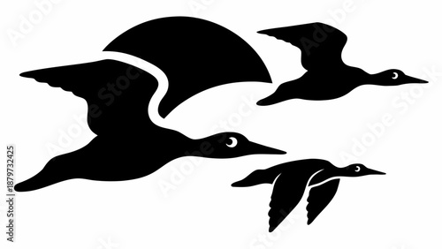 Three ducks flying together in formation