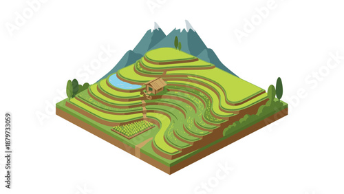 Isometric terraced rice fields with mountains and farmhouse