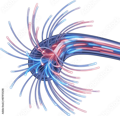 Create a Optical fiber cable - Optical fiber technology concept - 3d rendering. vector art with white background