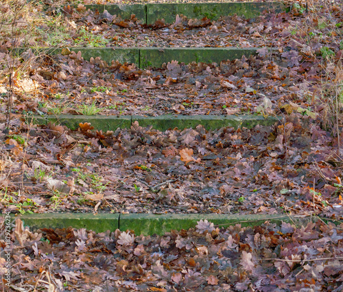 A series of weathered stone steps partially covered with vibrant green moss and fallen brown leaves. The image captures a sense of history, nature reclaiming architecture, and a quiet path in the wood