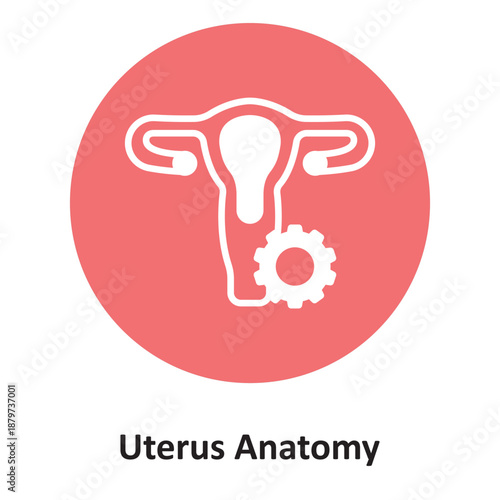 Uterus Anatomy Vector Icon which can easily modify or edit