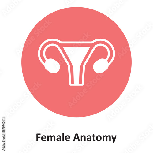 Female Anatomy Vector Icon which can easily modify or edit