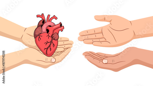 Hands Holding Heart Illustration for Organ Donation Awareness
