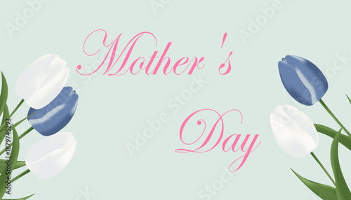 Vector image, realistic blue and white tulips, floral background, Mother's Day
