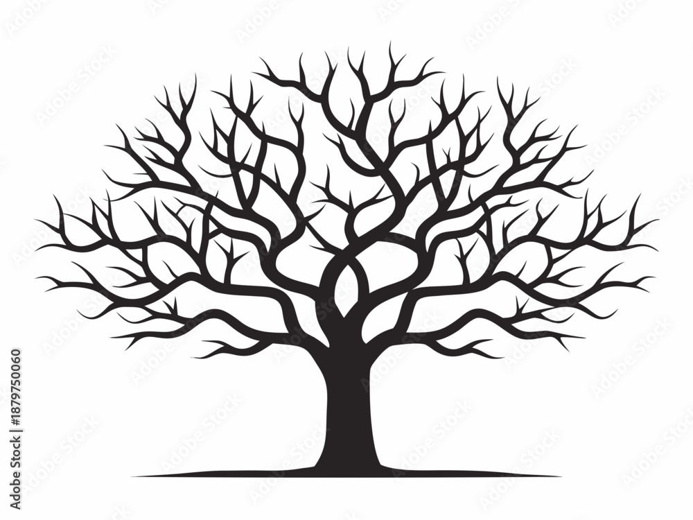 Fototapeta premium a black silhouette of a bare tree with many branches