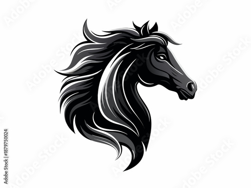 a black and white horse head with long mane