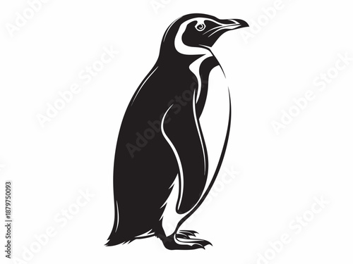 Elegant penguin silhouette a striking black and white avian depiction