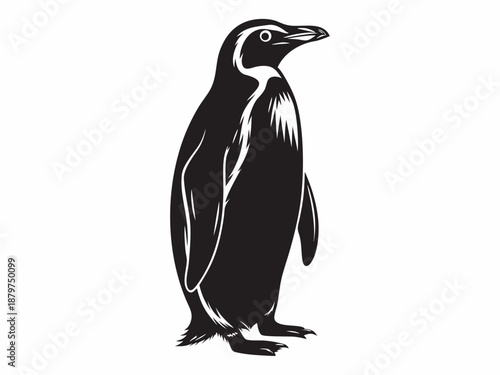 Elegant penguin illustration a striking black and white depiction of arctic wildlife