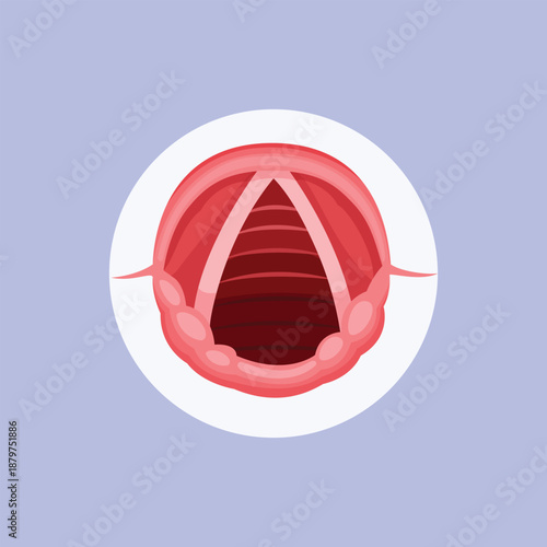 A human mouth illustration showing an open oral cavity, suitable for medical education, anatomy learning, and health-related visuals.