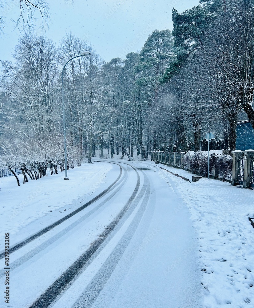 Fototapeta premium winter road in the snow