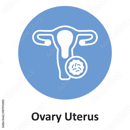 Ovary Uterus Vector Icon which can easily modify or edit