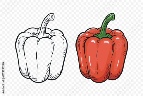 Vector Hand Drawn Cartoon Bell Peppers Set with Outline. Red Sweet Pepper Illustration. Fresh Vegetable for Food Market, Healthy Cooking, Vegetarian Recipe Design, Farm Organic Product Icon