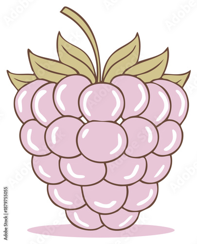 Illustration of a pink raspberry with leaves and stem against a white background. Graphic image of a fresh raspberry.
