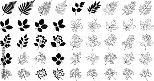 Collection of stylized black and white botanical line art icons depicting various types of leaves ferns and berry branches for nature design elements