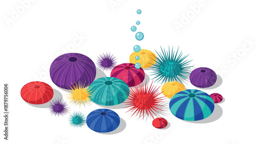 Colorful sea urchins and shells in modern isometric style with bubbles