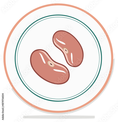 Two red kidney beans shown on a white plate with green and pink circles