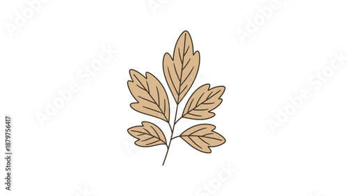 dry leaf 