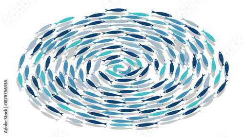 Colorful fish circle pattern on white background for design projects