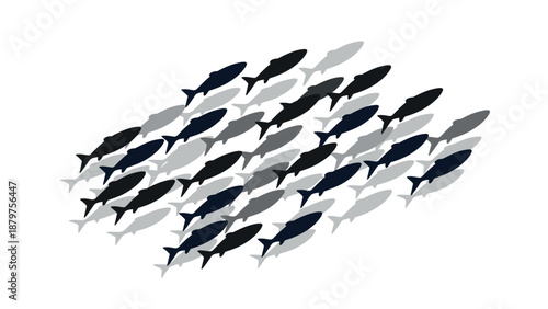 Monochrome fish silhouette pattern showing marine synchrony